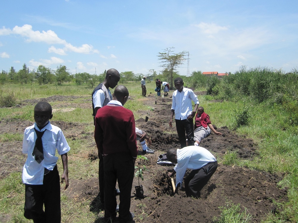 Organix team support Kanani school in Watamu during tree planting exercise