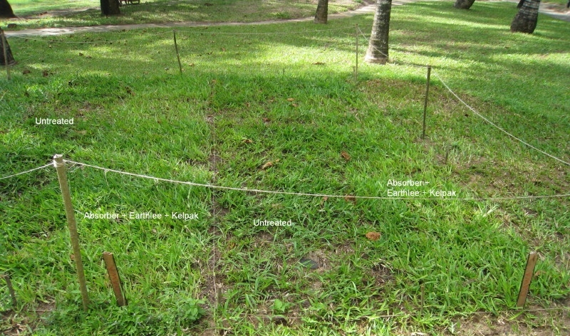 Visible difference between grass treated with and without Organix products as labelled.  Location: Coastal region of Kenya