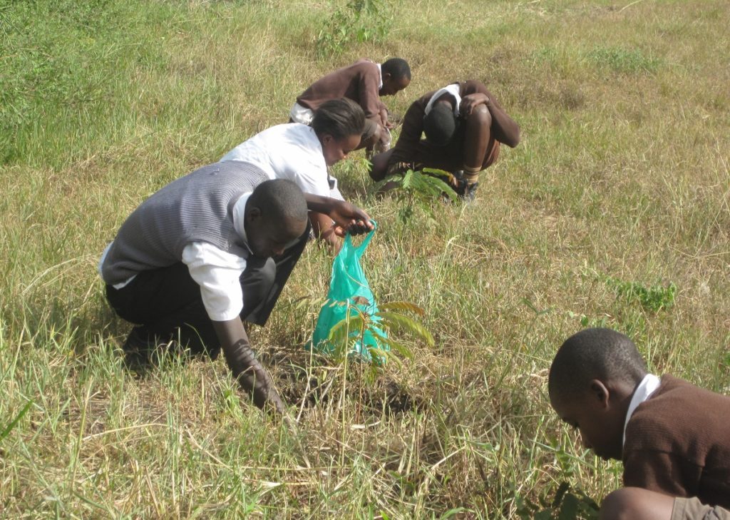 School children plant trees using  agricultural inputs from Organix Limited  that are plant based and/or made from naturally occurring ingredients