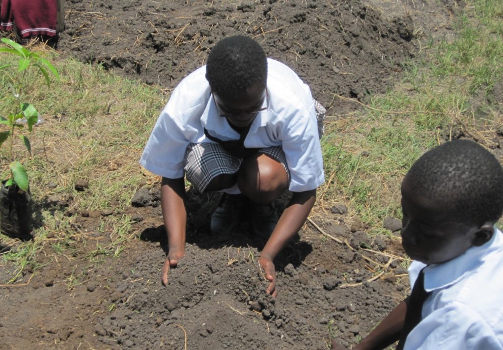 School girl prepares soil to be used to plant trees during a tree planting exercise in the coastal region.