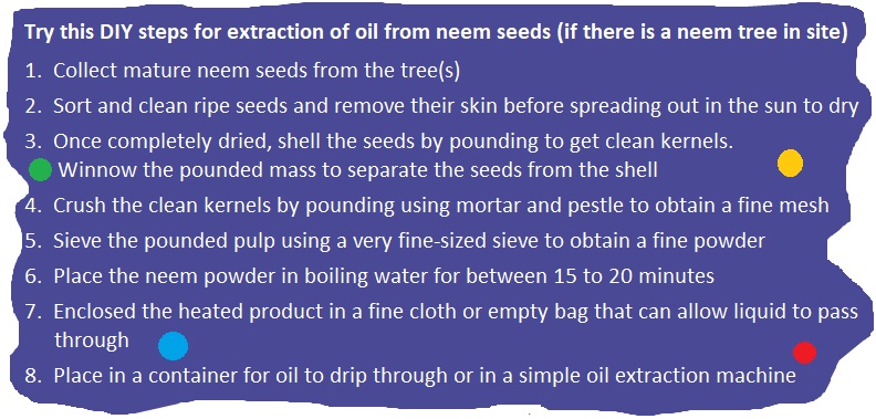 Steps for preparing neem oil from neem seeds