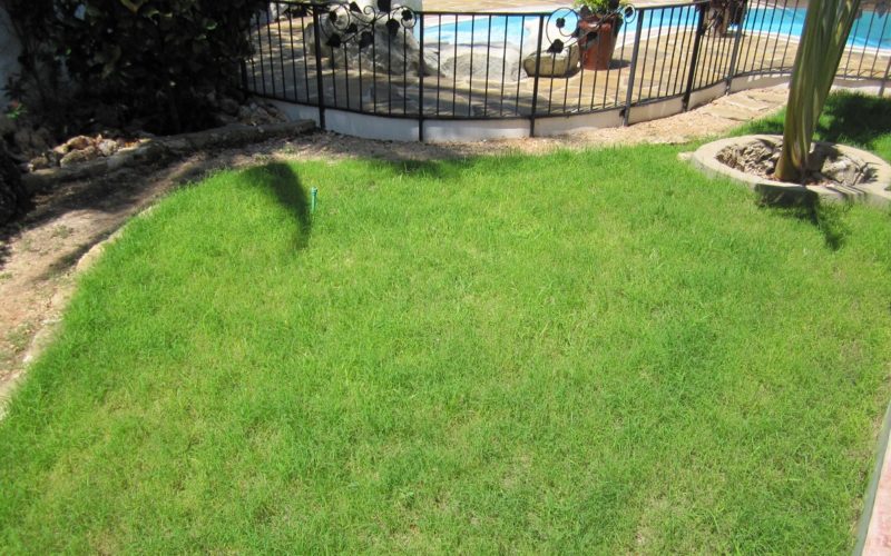 Some Tips for Lawns