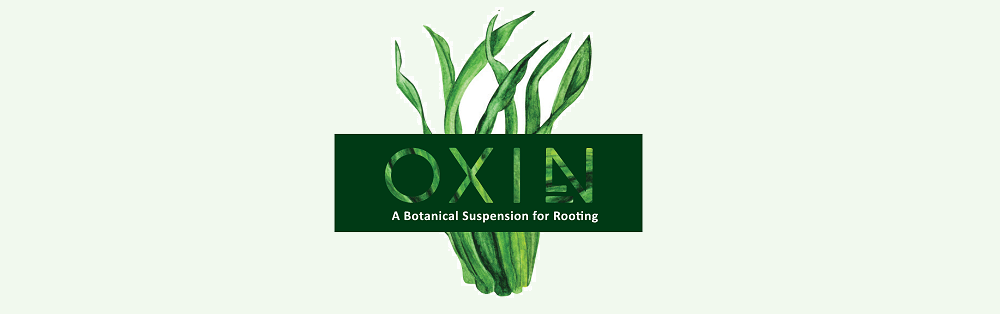 A botanical suspension for rooting
